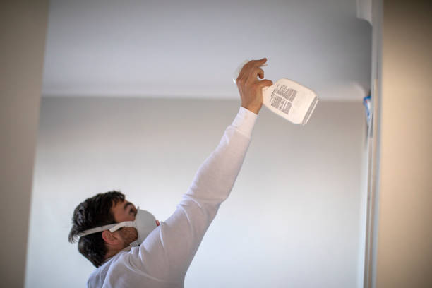 Best Mold Cleaning Services  in El Lago, TX
