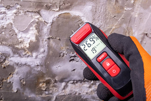 Best Black Mold Removal  in El Lago, TX